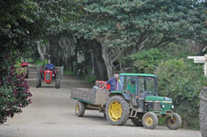 Lunchtijd op Sark: op de trekker naar huis.