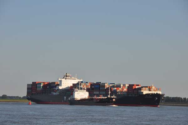 Zeeschepen op de Westerschelde.