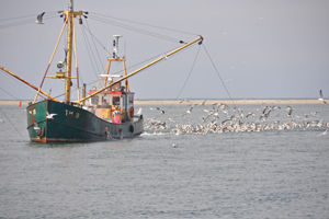 Visser in het Westgat bij Ameland.