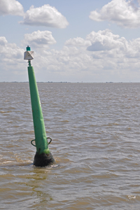 Boei op het wad.