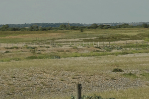 Rye Harbour Nature Reserve.