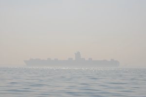 Containerschip in de Maasmond.